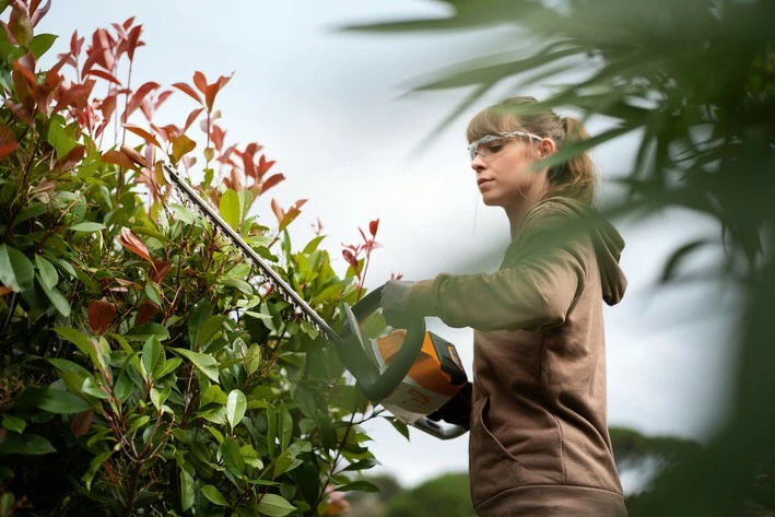 Stihl HSA 56 Akkupensasleikkuri - Image 4