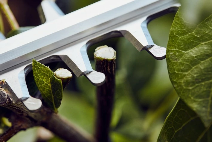 Stihl HSA 56 Akkupensasleikkuri - Image 3